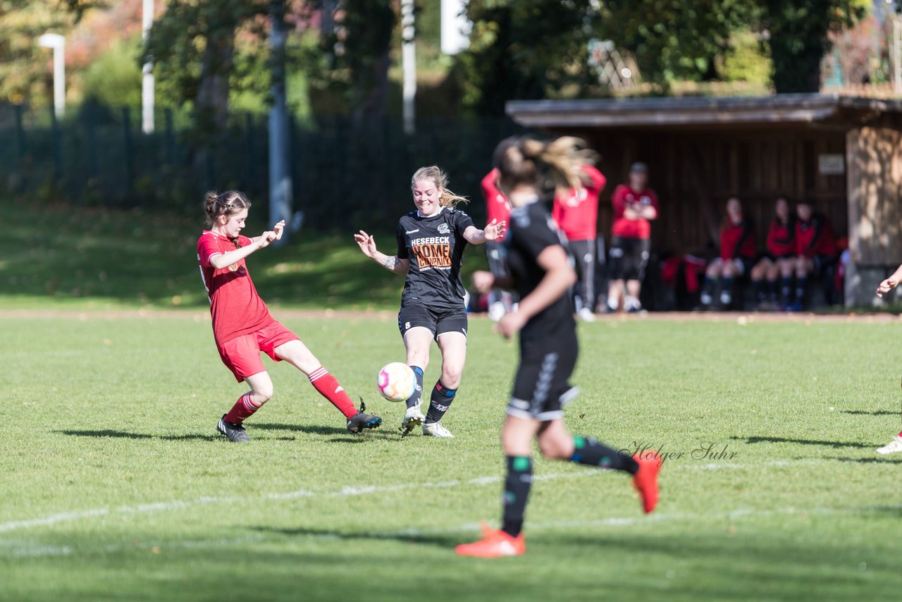 Bild 231 - F RS Kiel 2 - SV Henstedt Ulzburg 2 : Ergebnis: 1:3